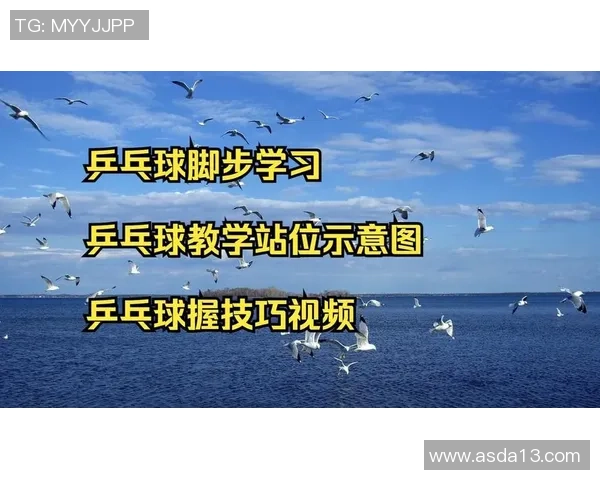 乒乓球新手必看团队协作技巧与实战指南助你快速提升球技