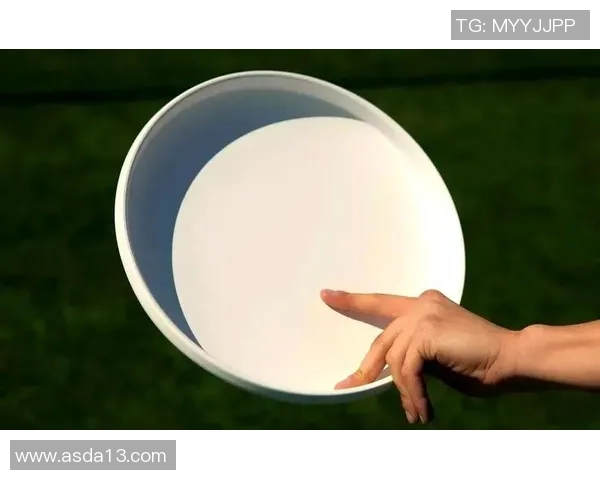 从零基础到飞盘高手的全面指南与实战技巧分享